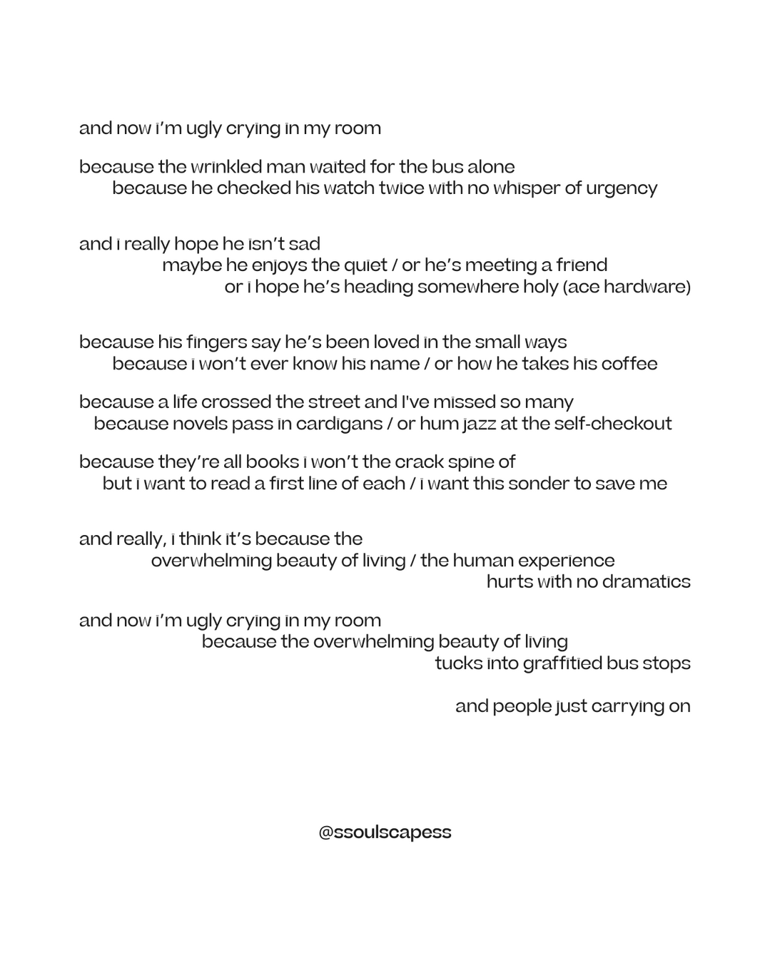 Poem by LJ Moon via soulscapes: sonder